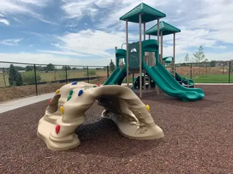 Img 1033